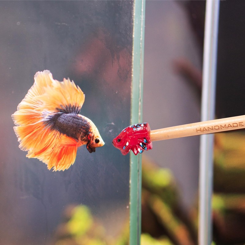 KOIKA Fish Training Stick Toys Fish Tank Decor Betta Training