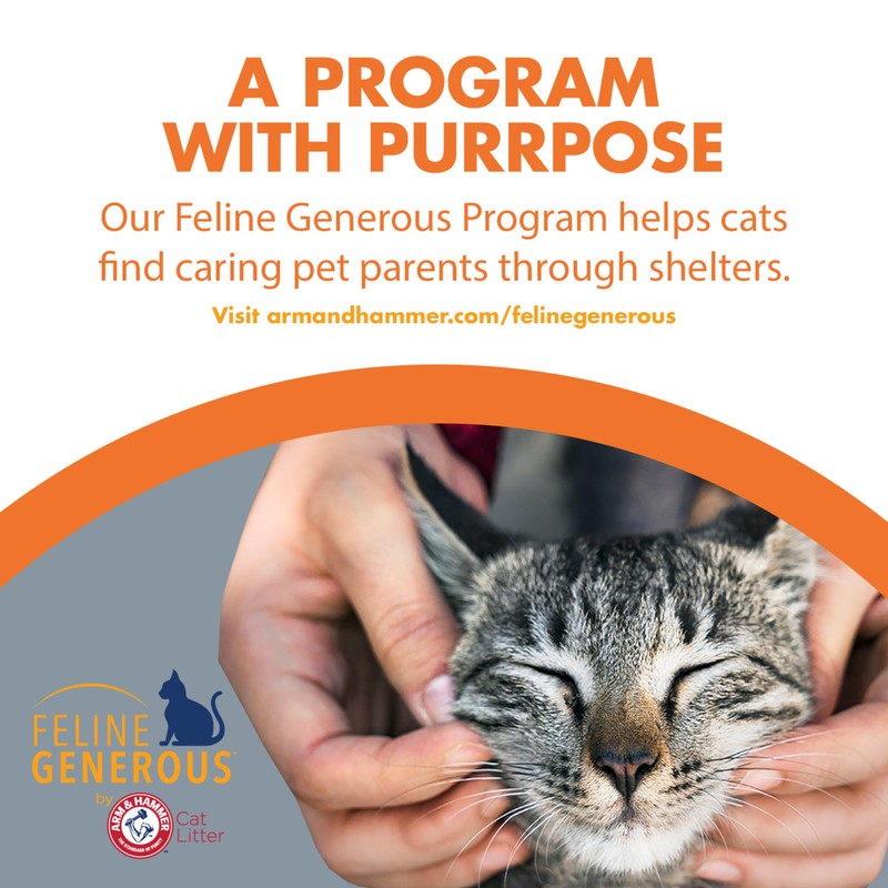 ARM & HAMMER Naturals Clumping Cat , Litter Odor Control,