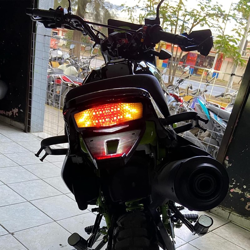 DREAMIZER Rear Fender Black 12V LED Tail Light Brake Lamp