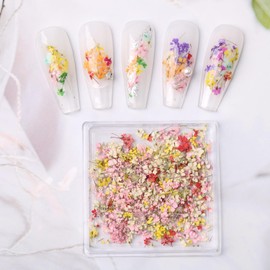 3D Dried Flowers for Nails, Spring Flower Nail Art Stickers 1Box Dried Flowers for Resin Crafts Colorful Small Natural Floral Dried Flower Decals for Summer Acrylic Nails Design Manicure Accessories