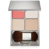 ipusa (Ipsa) dezainingu Face Color Palette