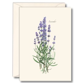 Earth Sky + Water - Lavender Notecard Set - 8 Blank Cards with Envelopes