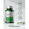 Horbäach Rhodiola Rosea Capsules 2000mg | 180 Count | Non-GMO,