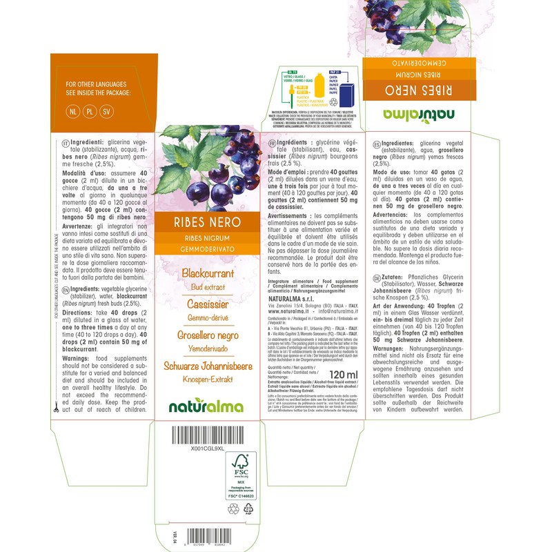 Blackcurrant (Ribes Nigrum) Alcohol-Free Bud Extract from French Buds Naturalma