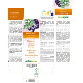 Blackcurrant (Ribes Nigrum) Alcohol-Free Bud Extract from French Buds Naturalma Liquid Extract Drops 120 ml Dietary Supplement Vegan