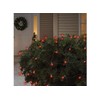 Celebrations Commercial Net Lights Red Bulbs 4' L X 6'