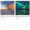 2025 Elements of Nature Wall Calendar