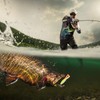 Wooden Large Artificial Popper Fish Lure Topwater Simulation Bait Sea