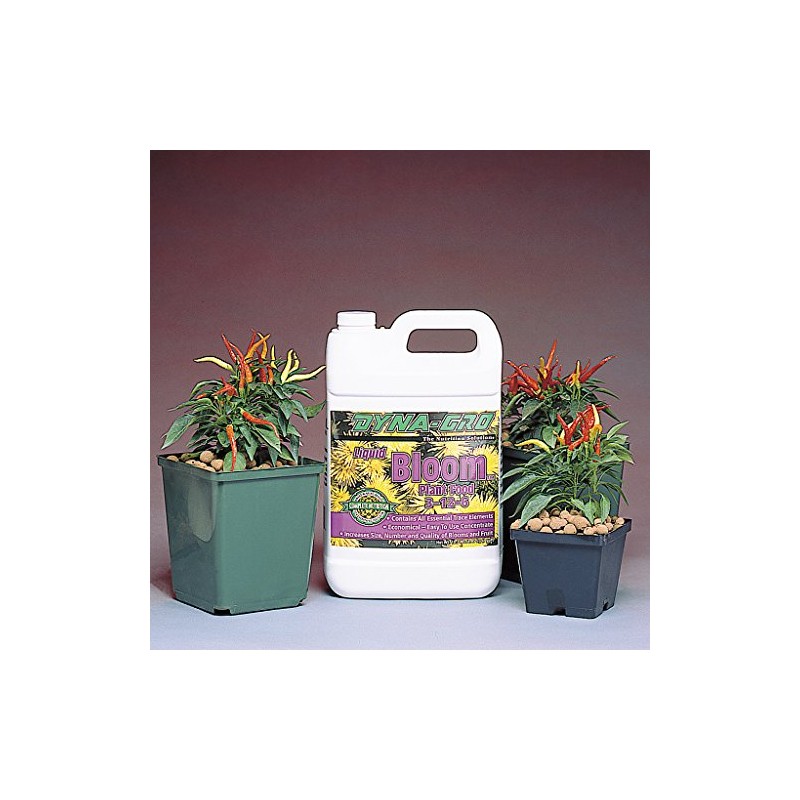 Dyna-gro Bloom, Gallon