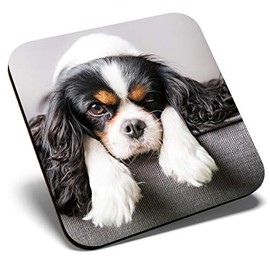 Great Single Coaster Square - Cavalier King Charles Spaniel Dog |Glossy Quality Coasters | Tabletop Protection for Any Table Type #12388