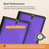 MORENTO 2 Pack HY4866 Genuine Air Purifier Replacement Filter for