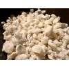 Land Of Oz Natural Quartz Gravel For Lizard Fish Reptile
