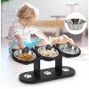 OLLVIA Cat Bowls Elevated, Raised Cat Food Bowls for Indoor