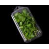 JA Kitchens 2 Ounce Large Herb Clamshell Container - Disposable