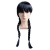 GLOBAL BOX Braid Wig, Pigtail, Wig, Bangs, Black Hair, Fun,