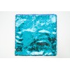 ABILITATIONS Lap PAD/Pillow Cover - Sequin