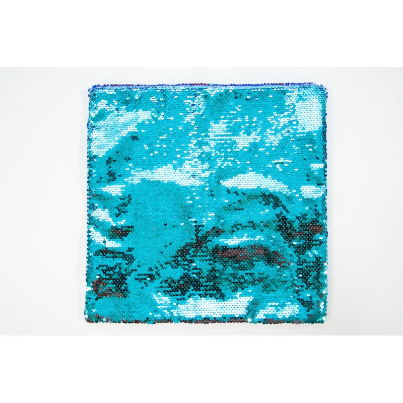 ABILITATIONS Lap PAD/Pillow Cover - Sequin
