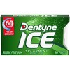 Dentyne Ice Spearmint Sugar-Free Chewing Gum, 9 Packs of 16