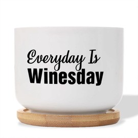 DecStic Everyday is Winesday Ceramic Planter Bible Verse Planters for Indoor Plants with Drainage Holes and Saucers Pot for Home Office Desk Garden