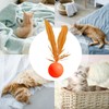 Cat Balls Toys for Indoor Cats, Cat Chew Ball Toys,