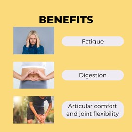 Optim Curcuma 90 Kapseln - Longvida Curcumin - Nahrungsergänzungsmittel - Kurkuma Hohe Stärke und Bioverfügbarkeit | Antioxidantien & natürliche Entzündungshemmer