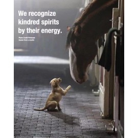 Inspirational horse and dog refrigerator magnet  3 1/2"x 4 1/2"