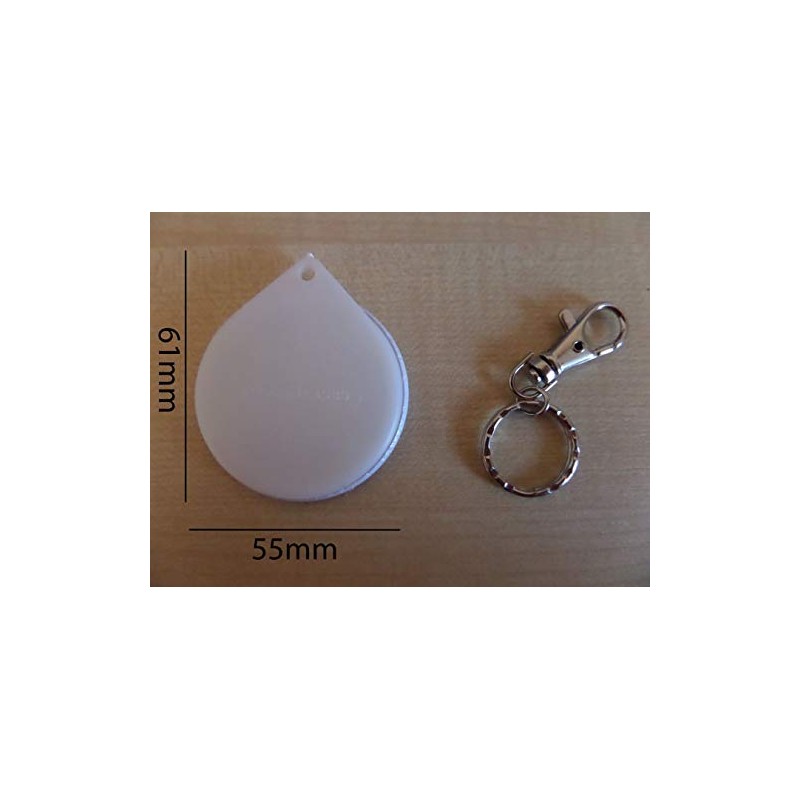 I Love My Bearded Dragon - 55mm Button Badge Key