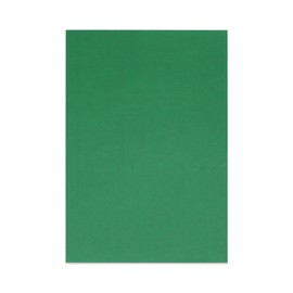 Sonjade Scrapbook Supplies Colored Cardstock Poster Board Crafts Construction Paper, 10 Sheets, 10 x 14.5 Inch, Blackish Green