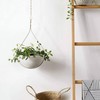 Hajia Waterdrop Shaped Hanging Planter, Metal Plant Hanger with Non-Detachable