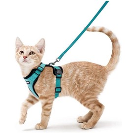 Rabbitgoo Arnés y correa para gato para, arneses de chaleco ajustables suaves a prueba de escape para gatos, transpirable de fácil control con tiras reflectantes y 1 anillo de correa de metal,Verde,XS