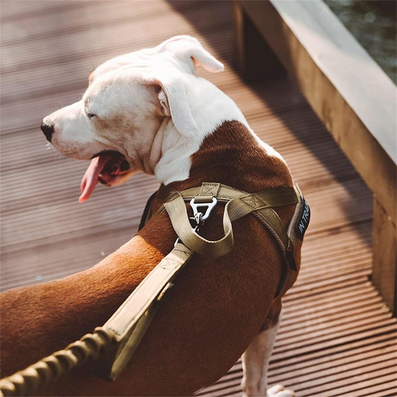 EXCELLENT ELITE SPANKER Harness, Nylon Harness, Dog, Small, Easy to