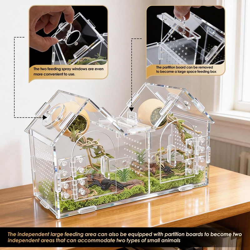 Jumping Spider Enclosure, Acrylic Terrarium with Partition Divider (1-2 Compartments),