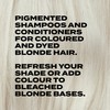 BLEACH LONDON Beer Shampoo 250ml