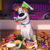 Ravensburger 9413 The Secret Life of Pets Jigsaw Puzzles -