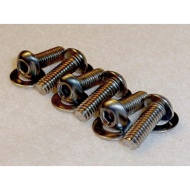 RT Bolts 1992-96 Corvette C4 LT1 & LT4 Throttle Body Cover Bolts Screws • Stainless Steel