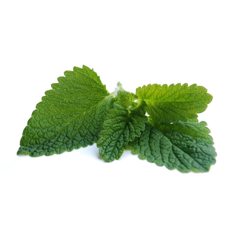 OLIVENATION OliveNation Pure Spearmint Oil 16 ounces