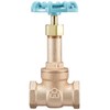 Daiwa Valve, Bronze Gate Valve, 10K Core, 10G-CN15A