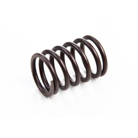 Briggs & Stratton 694865 Valve Spring Replacement for Models 690963 and 263163