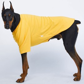 Lucky Petter Dog Shirt for Small Dogs Plain T-Shirts Soft Breathable Dog Cotton Shirt pet Clothes (2X-Large, Yellow)