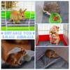 10 Pcs Waterproof Guinea Pig Pee Pad Guinea Pig Cat