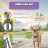 Fancy Pets Collar Galería Aqua Pop Tamaño Extra Chico para