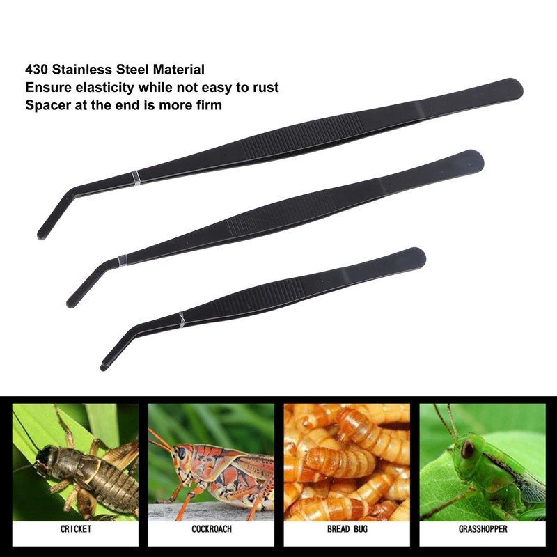 Reptile Feeding Tongs Prevent Slip Stainless Steel Thickened Reptile Feeding