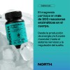 North Magnesio Fusion Glicinato Bisglicinato Metamag Citrato Taurato Treonato Alta