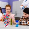 NUOBESTY 1 Set DNA Model, Double Helix Human DNA Model
