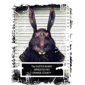 CafePress Evil Easter Bunny Rabbit Solo Pillow Case Standard Size Pillowcase, Lumbar Pillow Cover Microfiber