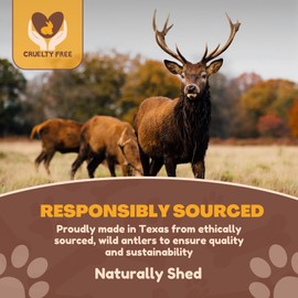 WhiteTail Naturals - Split Antlers for Large Dogs - (2 Pack- Large) - Naturally Shed, Long Lasting Dog Antler Horn - Tough Chew Bones for Aggressive Chewers