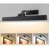 Afyuol Picture Lights for Wall, Battery Operated Picture Light 16in