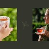 Dilmah Tea Bags Earl Grey Extra Strength | Premium Single
