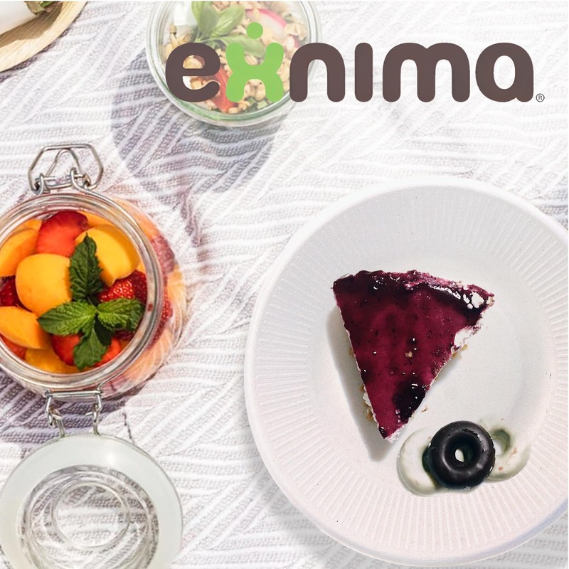 EXNIMA - Disposable Biodegradable Plates - Disposable Sugar Cane Paper