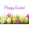 Parent Granola Bars and Easter Care Package (52 Count for